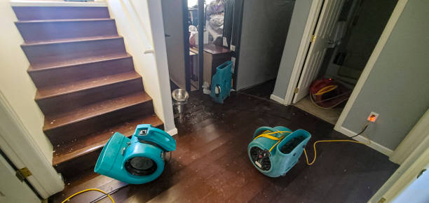 Best Professional water damage repair  in Hephzibah, GA