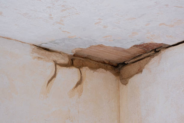 Best Ceiling water damage repair  in Hephzibah, GA