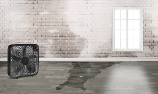 Reliable Hephzibah, GA Water damage restoration Solutions