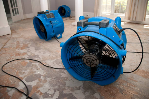 Best Water damage contractors near me  in Hephzibah, GA