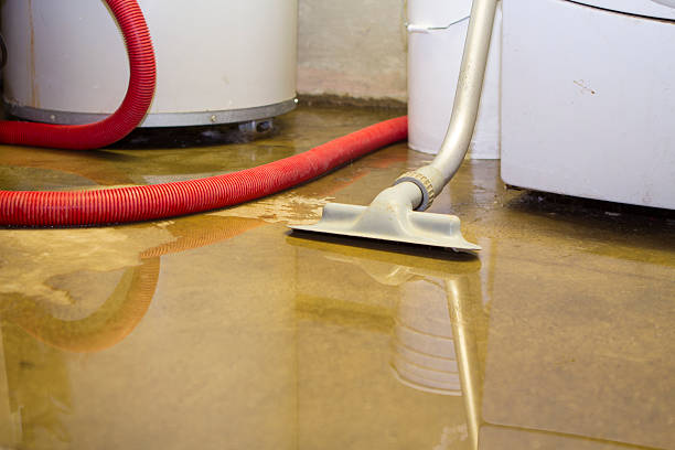 Best Fire Damage Restoration  in Hephzibah, GA