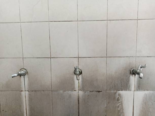 Best Commercial water damage restoration  in Hephzibah, GA